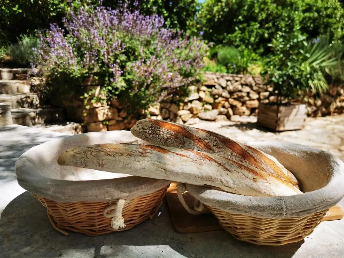 Holiday home La Maison Du Soleil Provence Draguignan