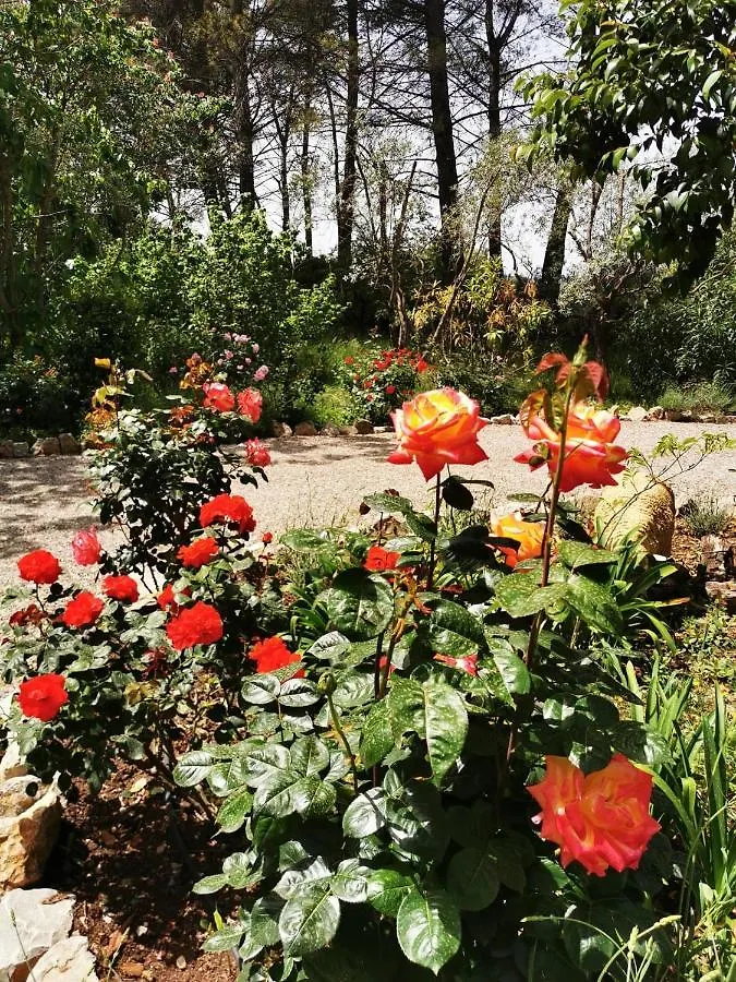 La Maison Du Soleil Provence Draguignan Holiday home